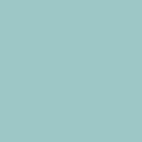 Ss1